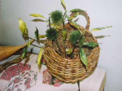 夏の栗