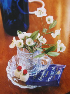 野茨と紅茶