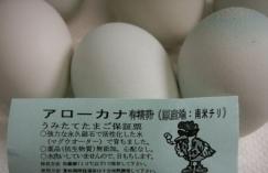アロカーナ卵 002 nannbei.jpg