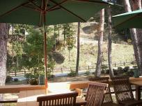 温泉　バイキング 003　テラス.jpg