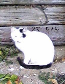 愛知牧場 008　まぶしいけど笑顔.jpg