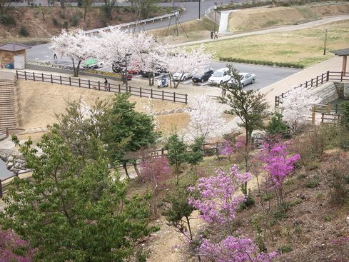 どんぶり会館から