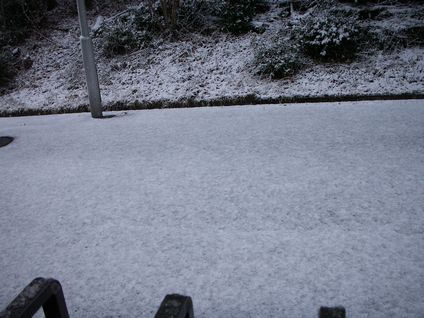 道路の雪