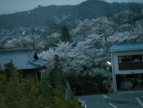 天光の湯からさくら