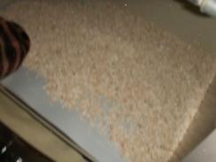 刈谷オアシスイベント 045　ゼオライト　撒く.jpg