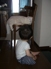 にゃんだよ。。。