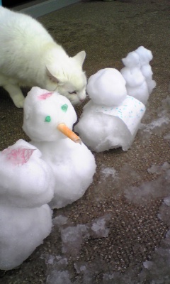 雪だるま＆にゃん様♪