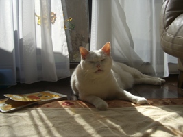 朝のひととき