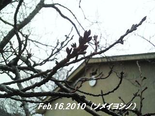 2010021614040000 - コピー.jpg