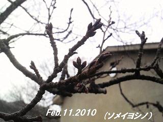 2010021111250000 - コピー.jpg