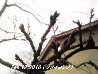 2010021211540000 - コピー.jpg