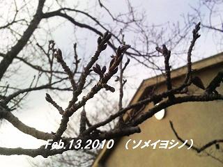 2010021316540000 - コピー.jpg