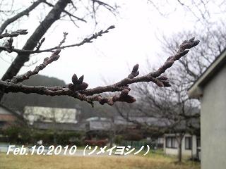 2010021014460000 - コピー.jpg