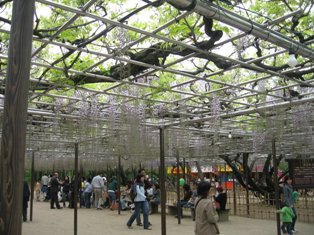 IMG_0878.JPG