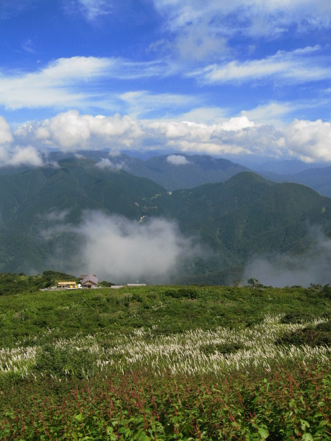 IMG_2236-2.jpg