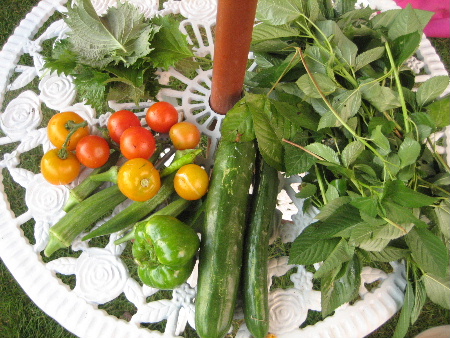 野菜が豊作です～♪