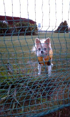 071209_1620~0001.jpg
