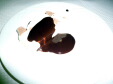 P1000277.jpg