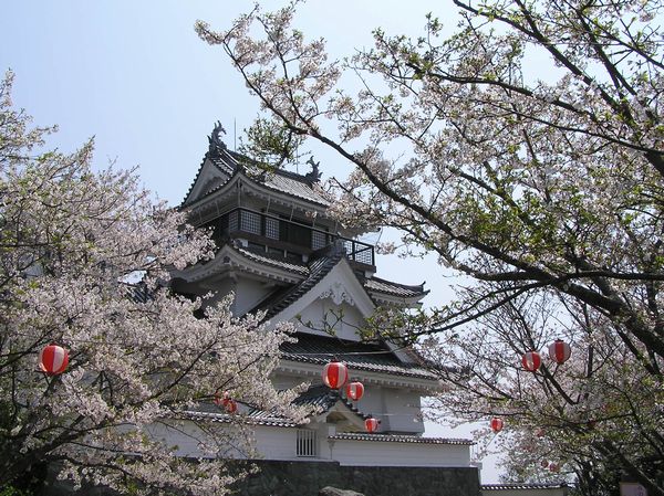 岡崎城と桜