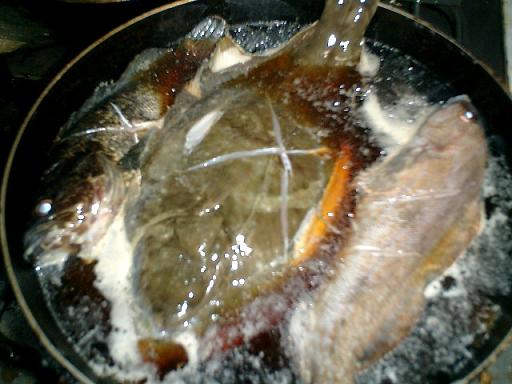 釣果　１１－３