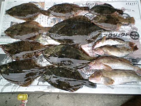 釣果　10/8