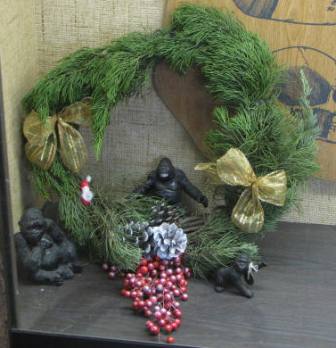 ゴリラリース12月22日上野動物園