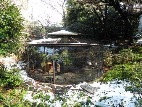 ツル舎上野動物園20110215