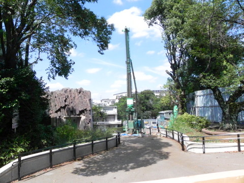 工事中上野動物園20100918