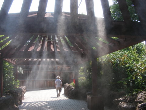 霧の彼方上野動物園20100724