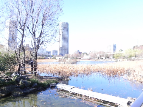 上野動物園20110106