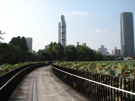 弁天橋上野動物園2006.11.3.