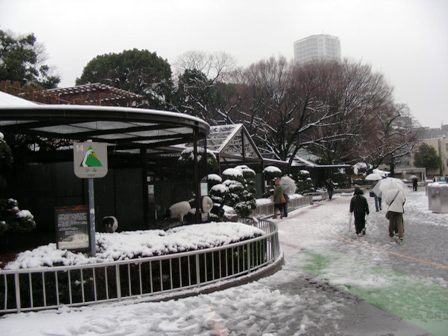 ツル舎２００８．２.３.雪