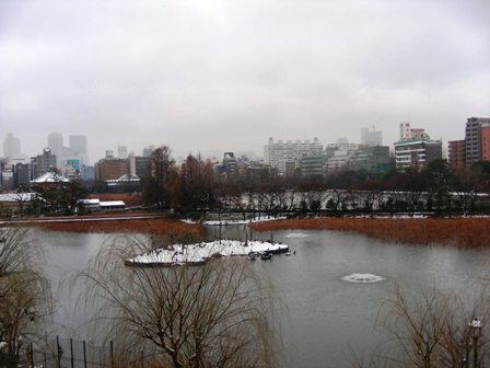 不忍池２００８．２.３.雪A