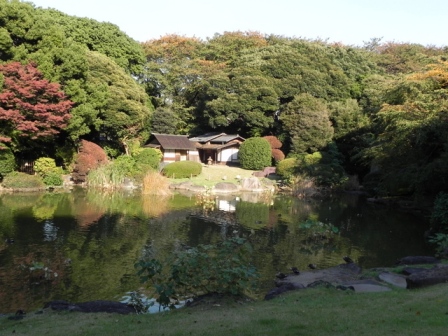 庭園解放東京国立博物館20101110D