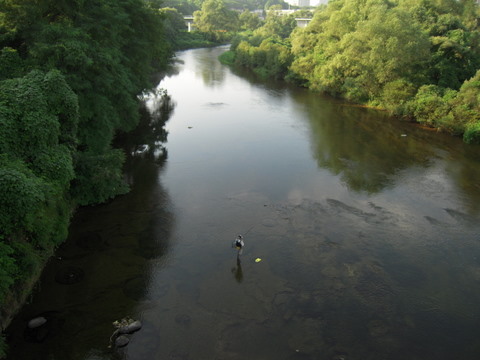 広瀬川仙台20100824