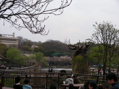 スカイツリー上野動物園20100411