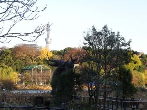 スカイツリー上野動物園20101204