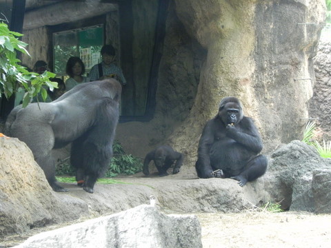 家族上野動物園20110724