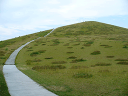 モエレ沼公園