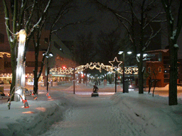 旭川冬まつり　雪あかりの緑道