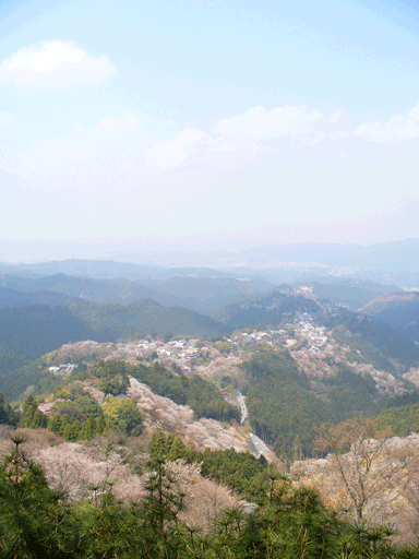 奈良県　吉野山