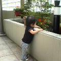 ガーデニング