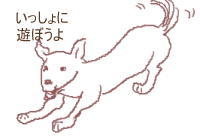 inu000333