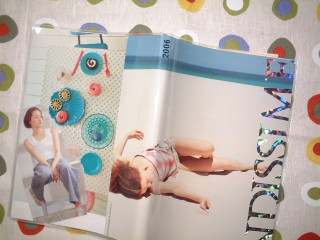 タヒチとココアちゃん作の家計簿！