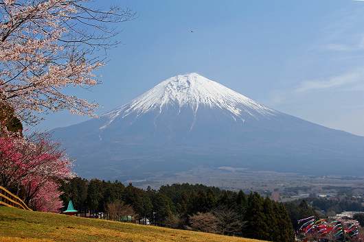 富士山