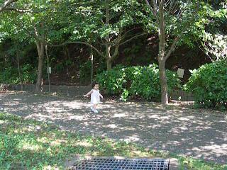 7･9　木陰を行ったりきたり.JPG