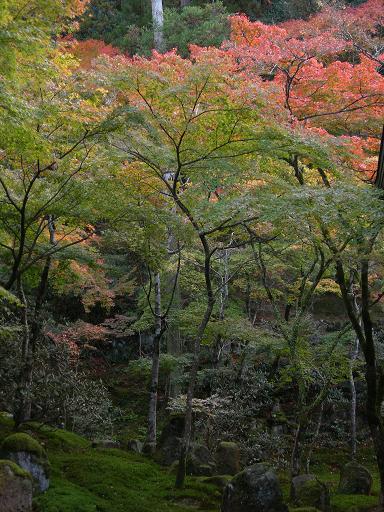 光明禅寺３.JPG