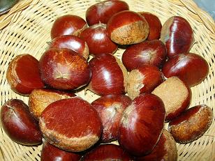 栗