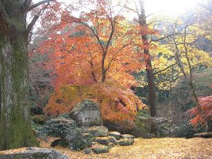 清水寺　本坊庭園.JPG