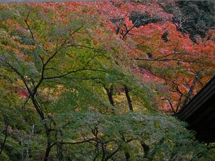 光明禅寺２.JPG